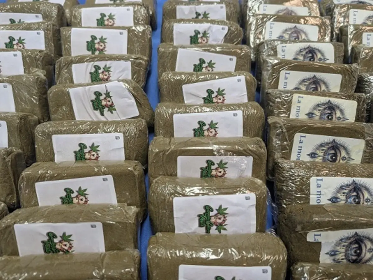 Judiciária, em colaboração com a GNR, apreendeu 17 quilos de droga