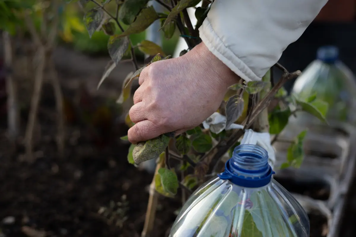Imagem de contexto do artigo Pesticidas banidos na UE continuam a ser exportados