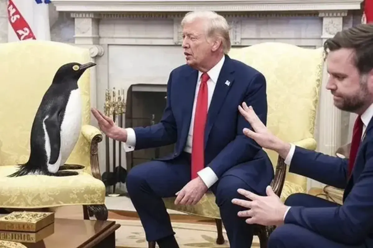 Uma imagem amplamente partilhada nas redes sociais, desde quinta-feira, mostra um pinguim instalado na cadeira ocupada por Volodymyr Zelensky, durante uma recente visita à Sala Oval da Casa Branca, a ser repreendido por Trump e pelo vice-presidente