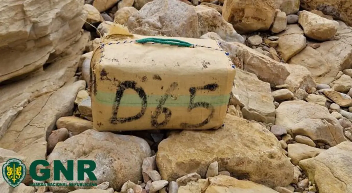 Imagem de contexto do artigo Apreendidos 93 quilos de haxixe encontrados na Costa Vicentina e no Barlavento Algarvio