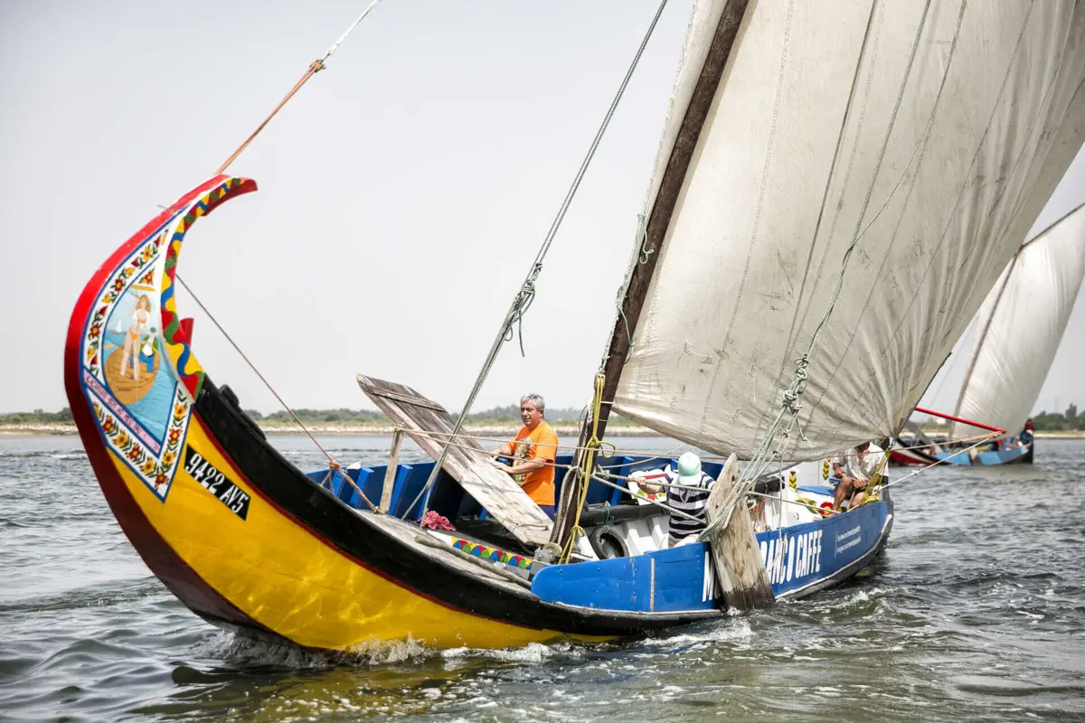 Regata de Barcos Moliceiros