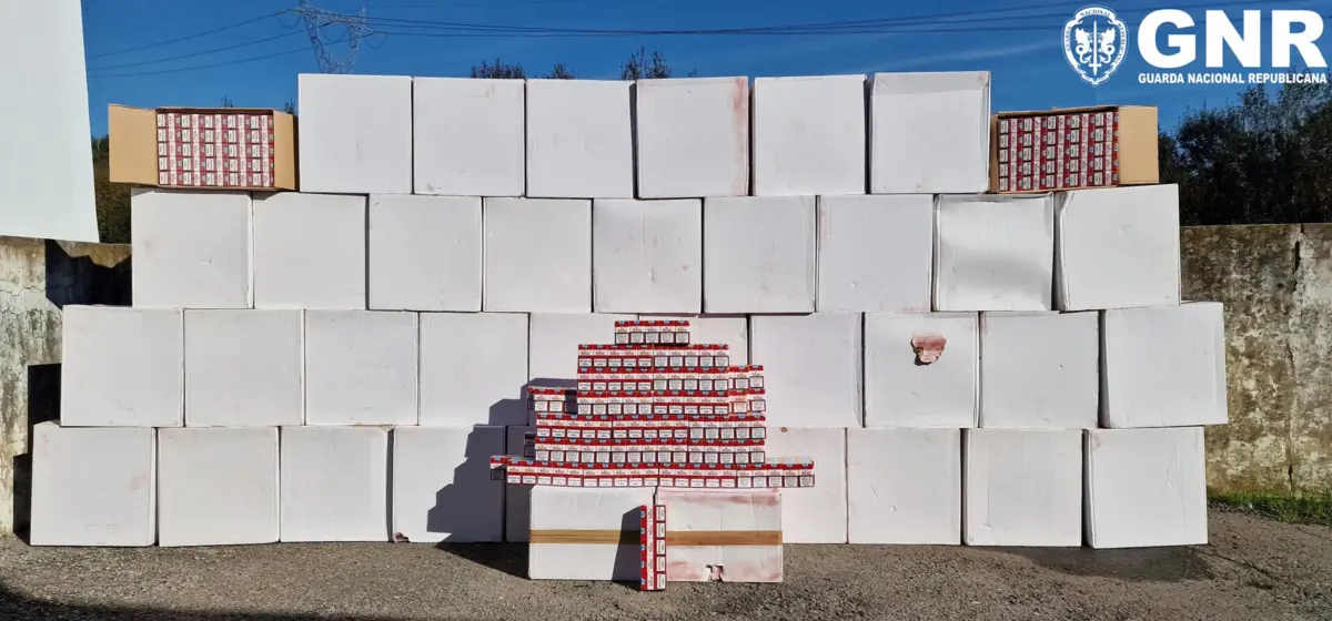 50 caixas de tabaco foram apreendidas