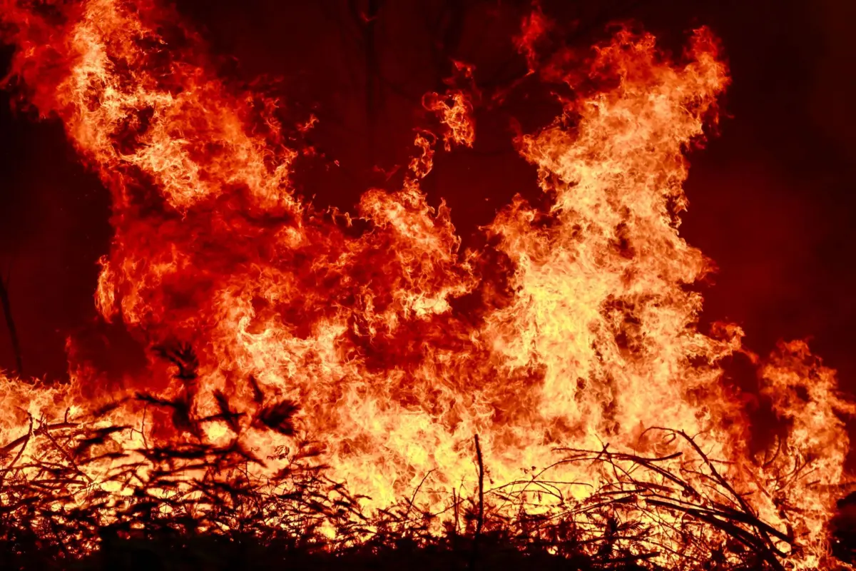 Até terça-feira, tinham ardido 222 mil hectares em Portugal em 2025