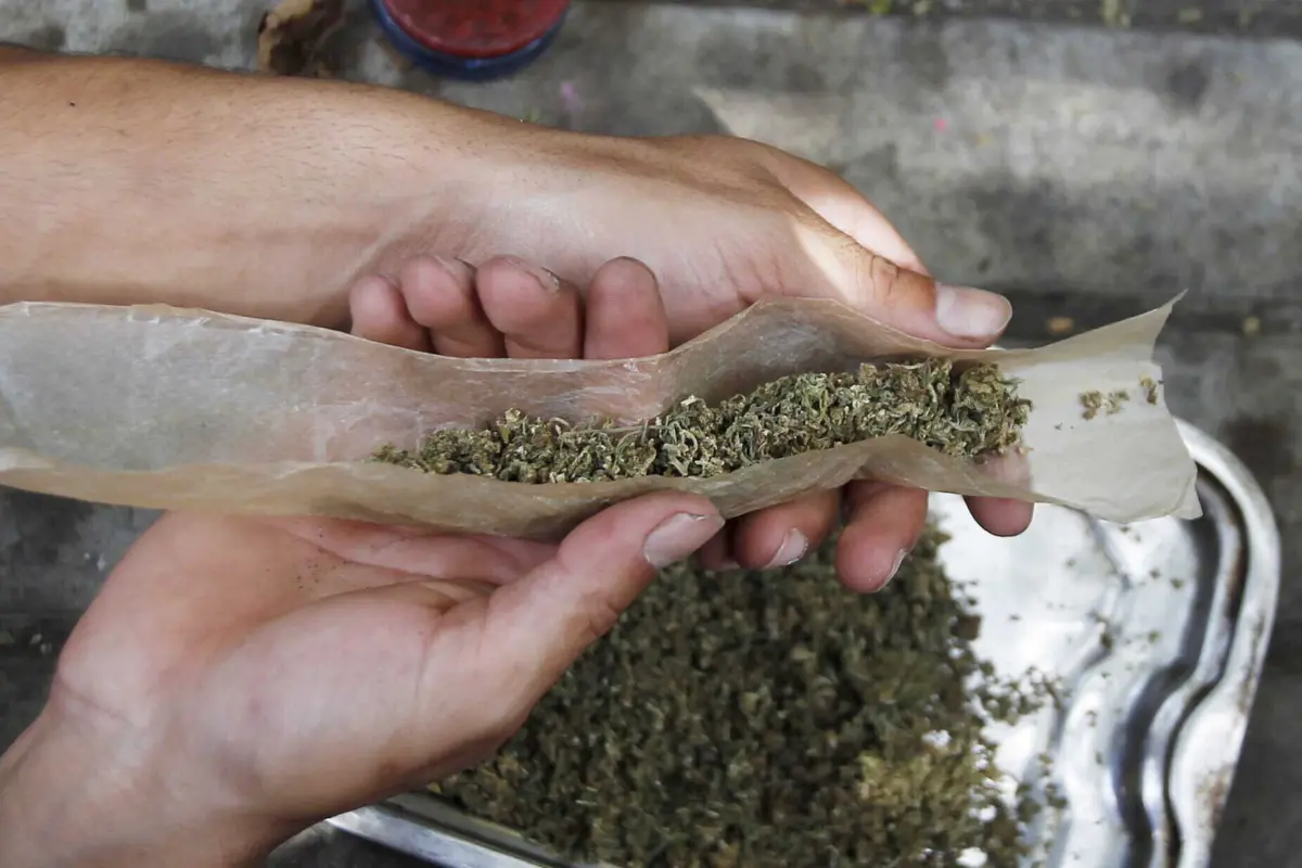 GNR apreendeu cerca de 70 quilos de canábis