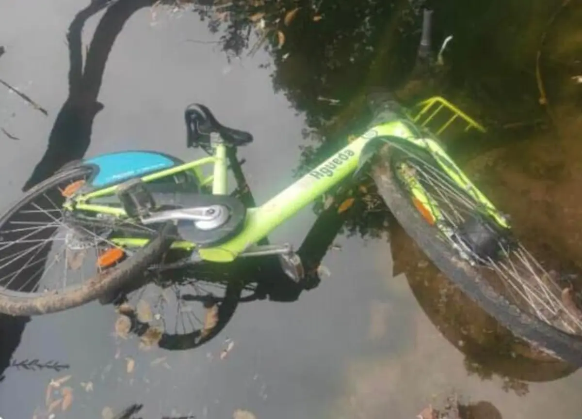 Suspeitos mandaram bicicletas da Câmara para o rio Vouga