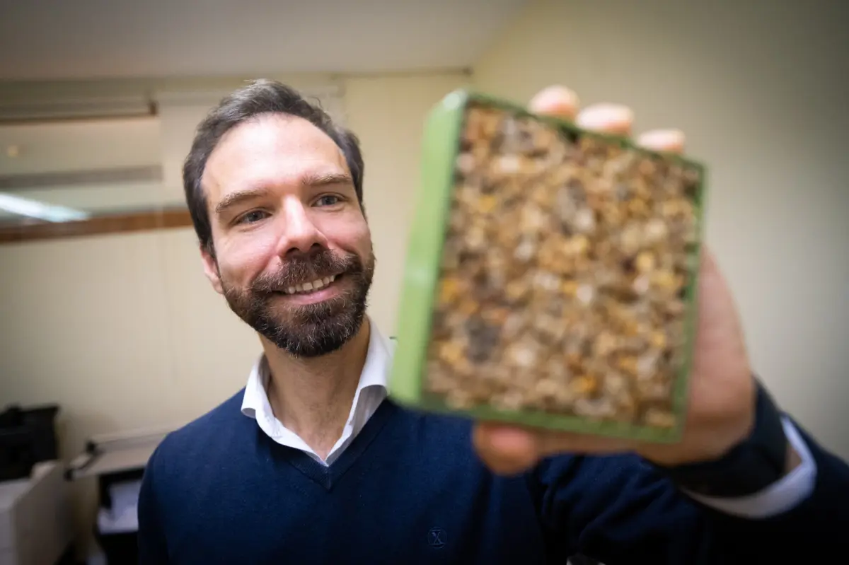 José Miguel Lameiras, coordenador da equipa da FCUP