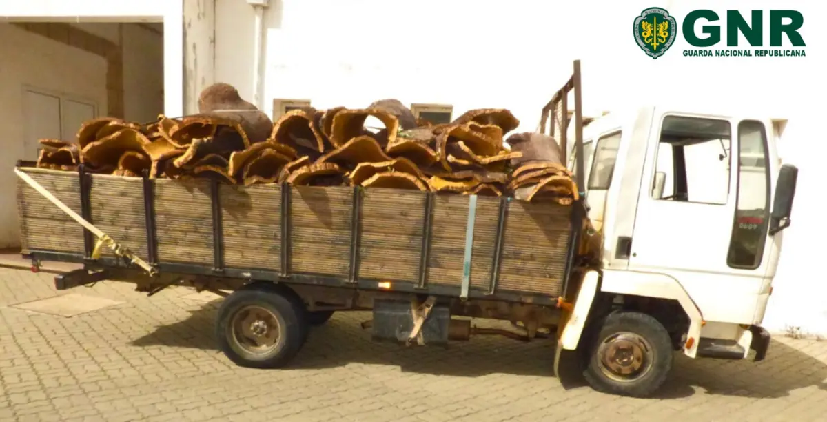 Cortiça furtada foi apreendida pela GNR