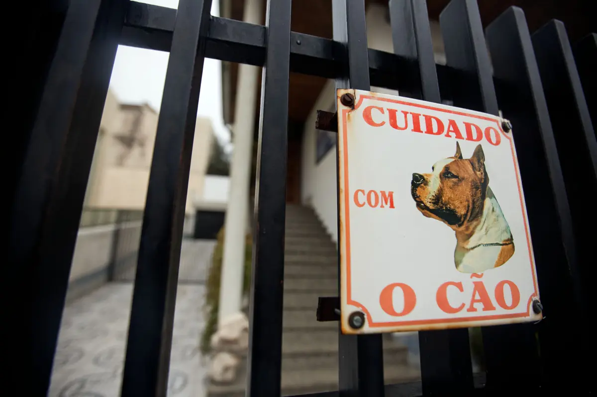 Cidadão quis entrar com um cão dentro do estabelecimento comercial