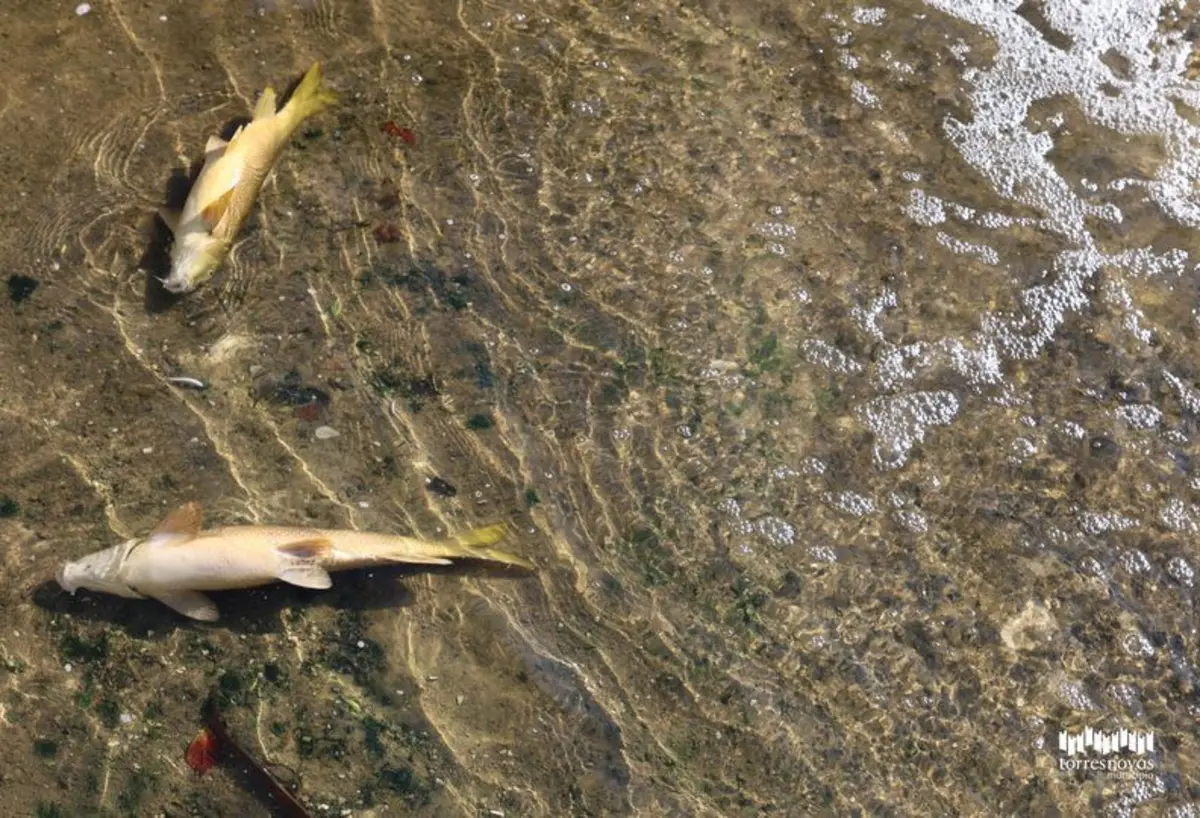 A Câmara de Torres Novas disponibilizou os resultados das análises à qualidade da água para consulta pública