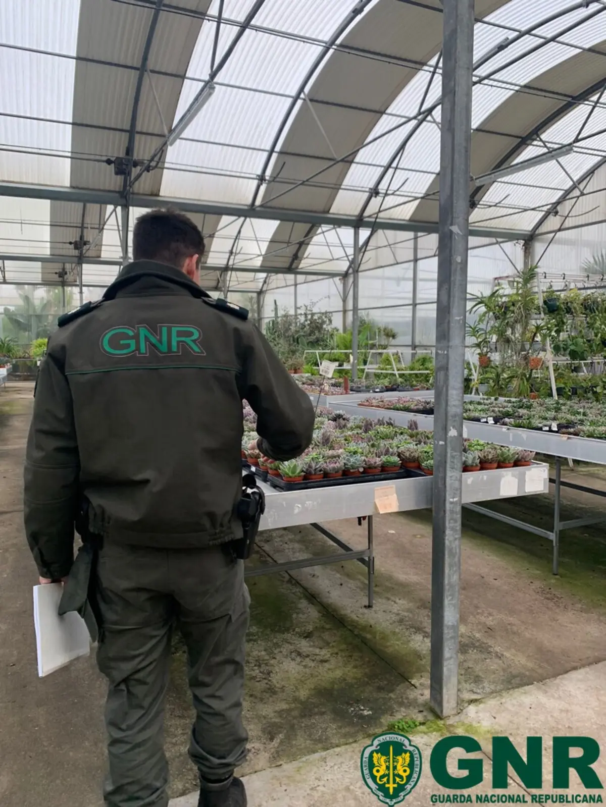 Denúncias ou esclarecimentos de dúvidas podem ser feitas através da Linha SOS Ambiente e Território