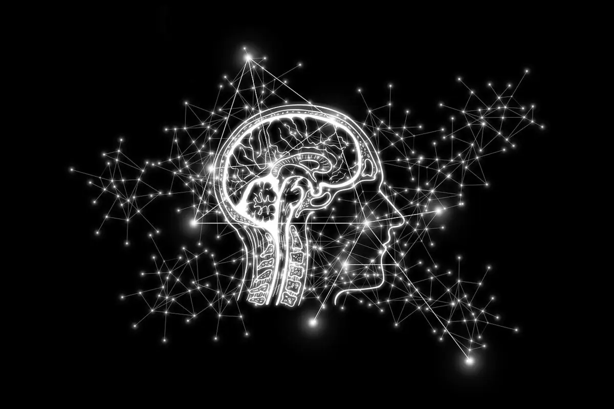 Imagem de contexto do artigo O potencial da IA, da robótica e da telessaúde em debate na Universidade do Minho