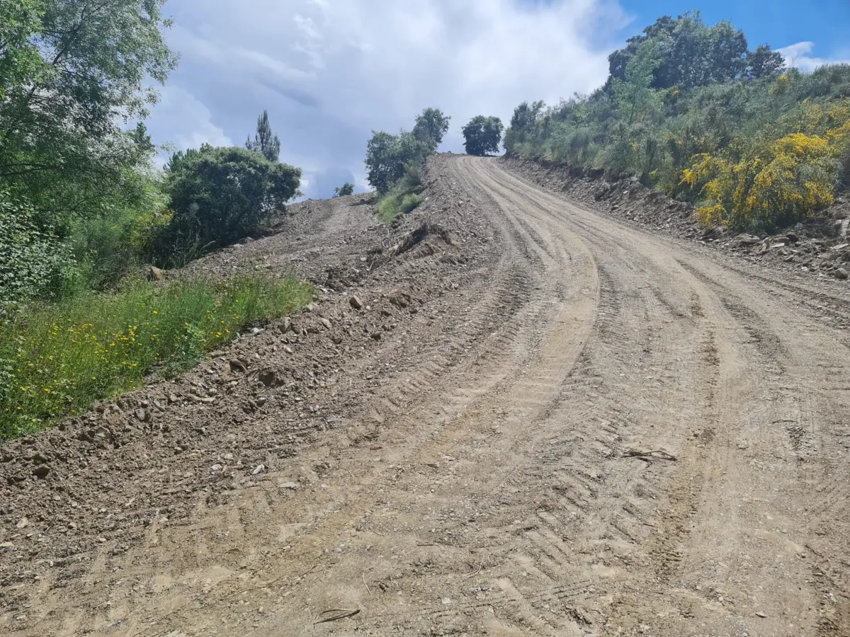 Tribunal obriga autarquia a repor situação anterior do terreno