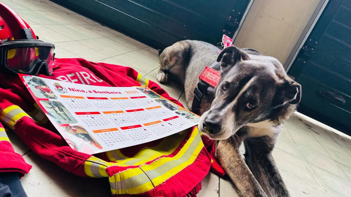 Cada calendário custa 4,5 euros