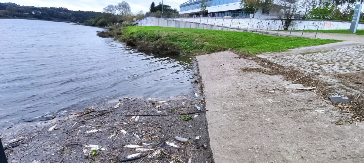 A Polícia Marítima esteve no local