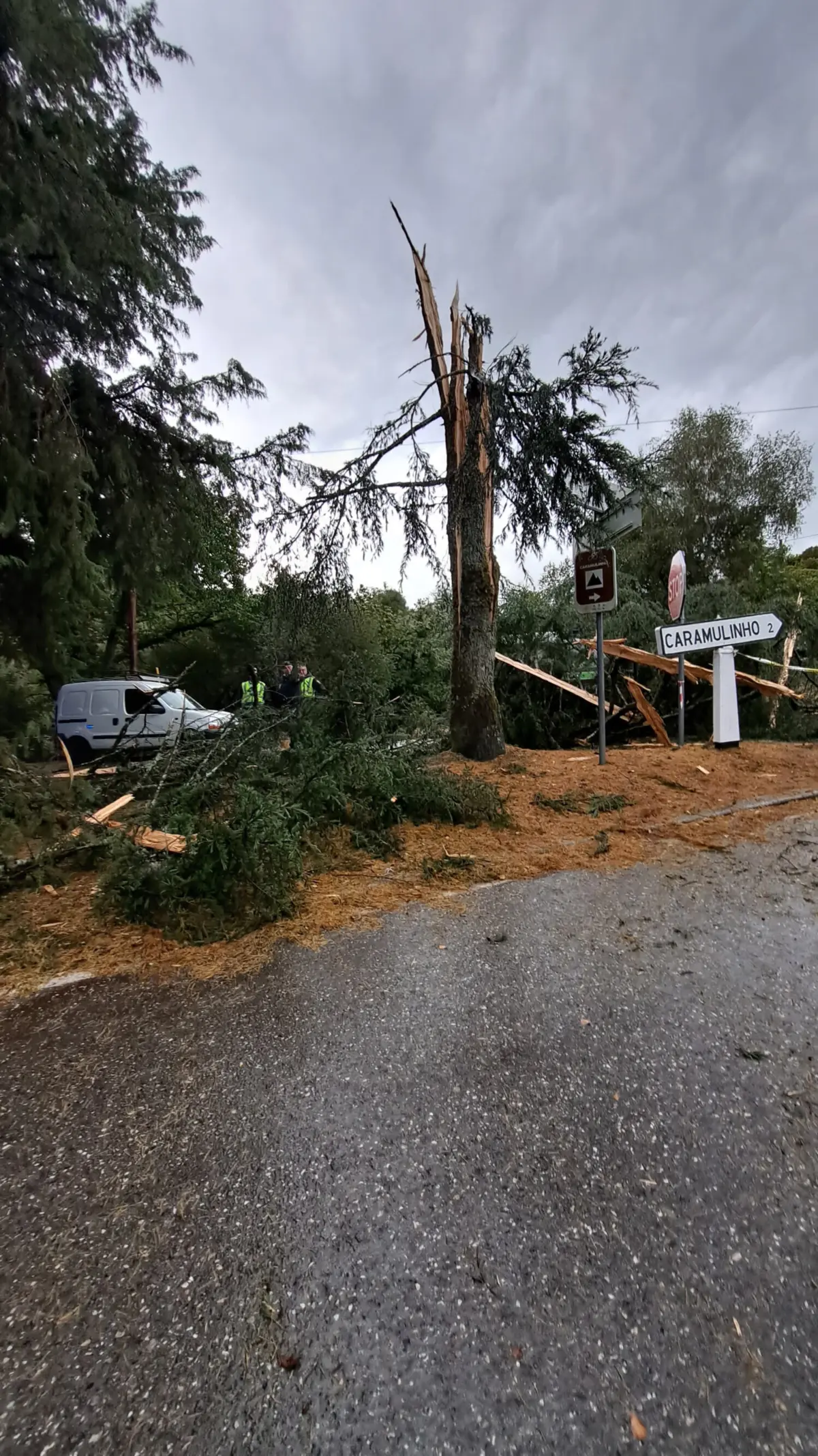 Imagem de contexto do artigo Menino de sete anos atingido por raio no Caramulo já teve alta médica