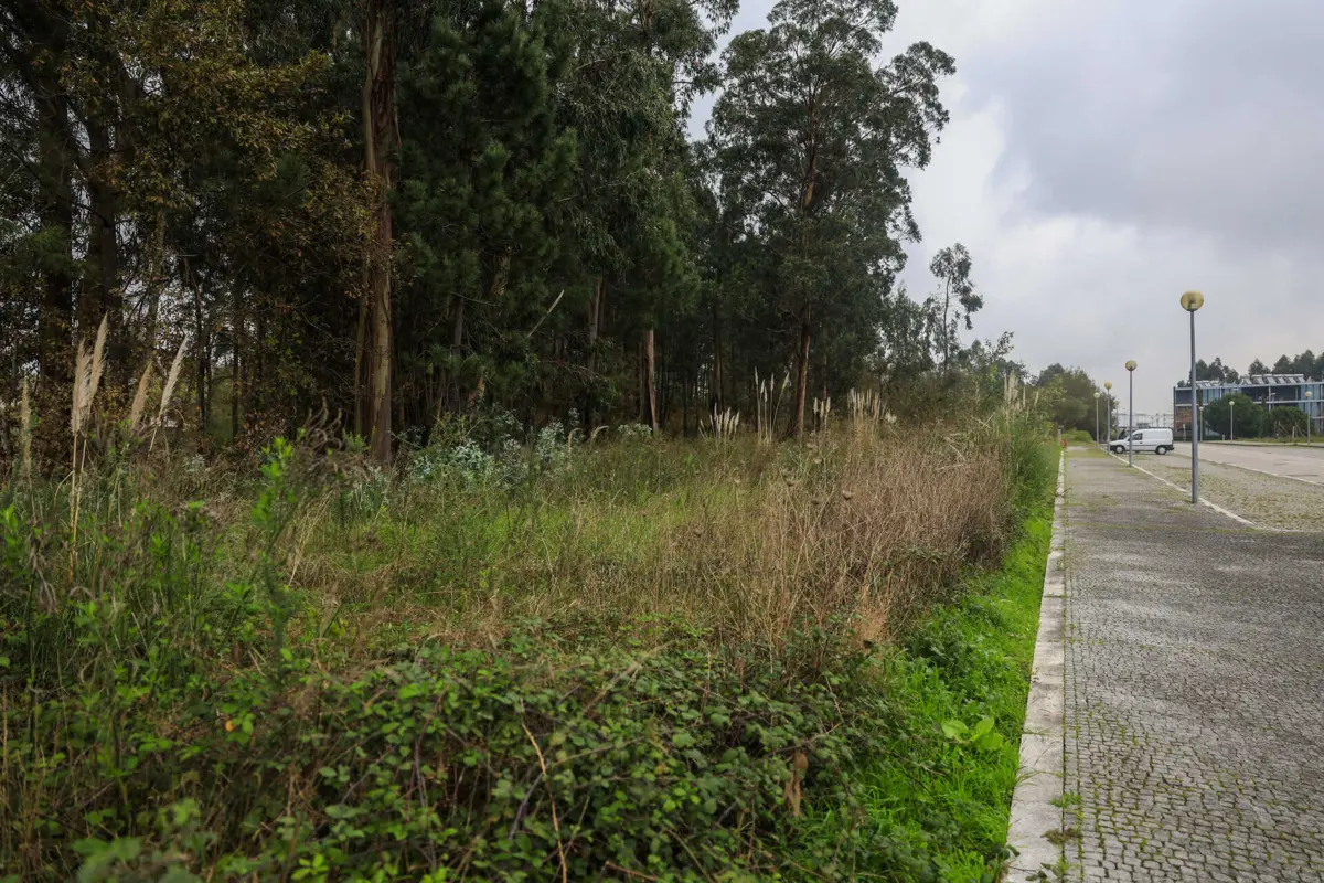 Terrenos agrícolas vão permitir a construção com a alteração proposta pelo Executivo