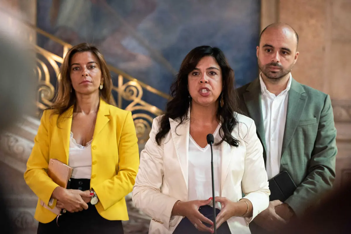 "O stealthing, ao violar o acordo explícito de uso de preservativo, é uma transgressão direta deste princípio de consentimento", adianta o PAN na proposta de lei