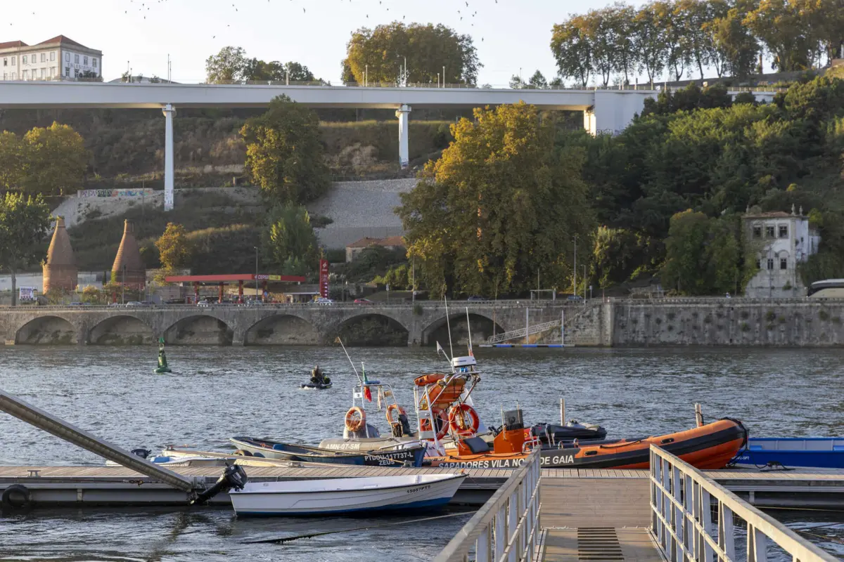 Areinho de Oliveira do Douro