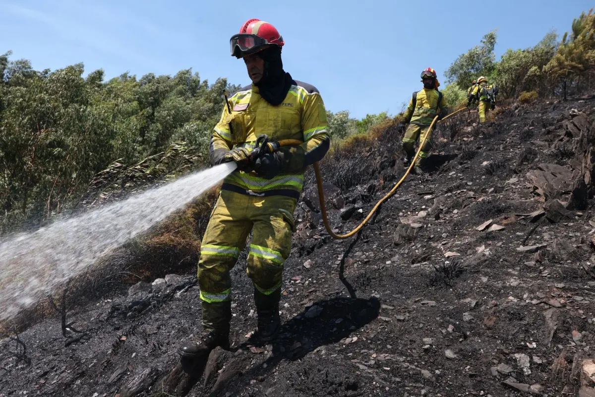 Combate às chamas em Arouca
