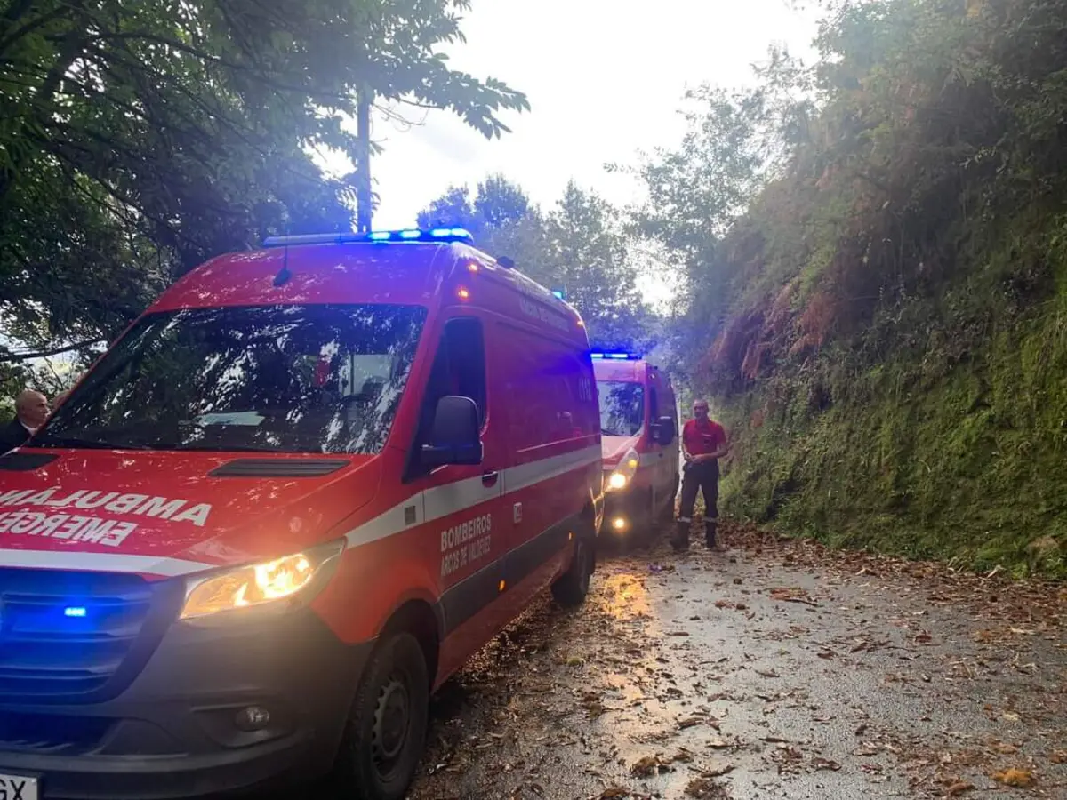 Imagem de contexto do artigo Dois idosos atacados por touro à solta em Arcos de Valdevez