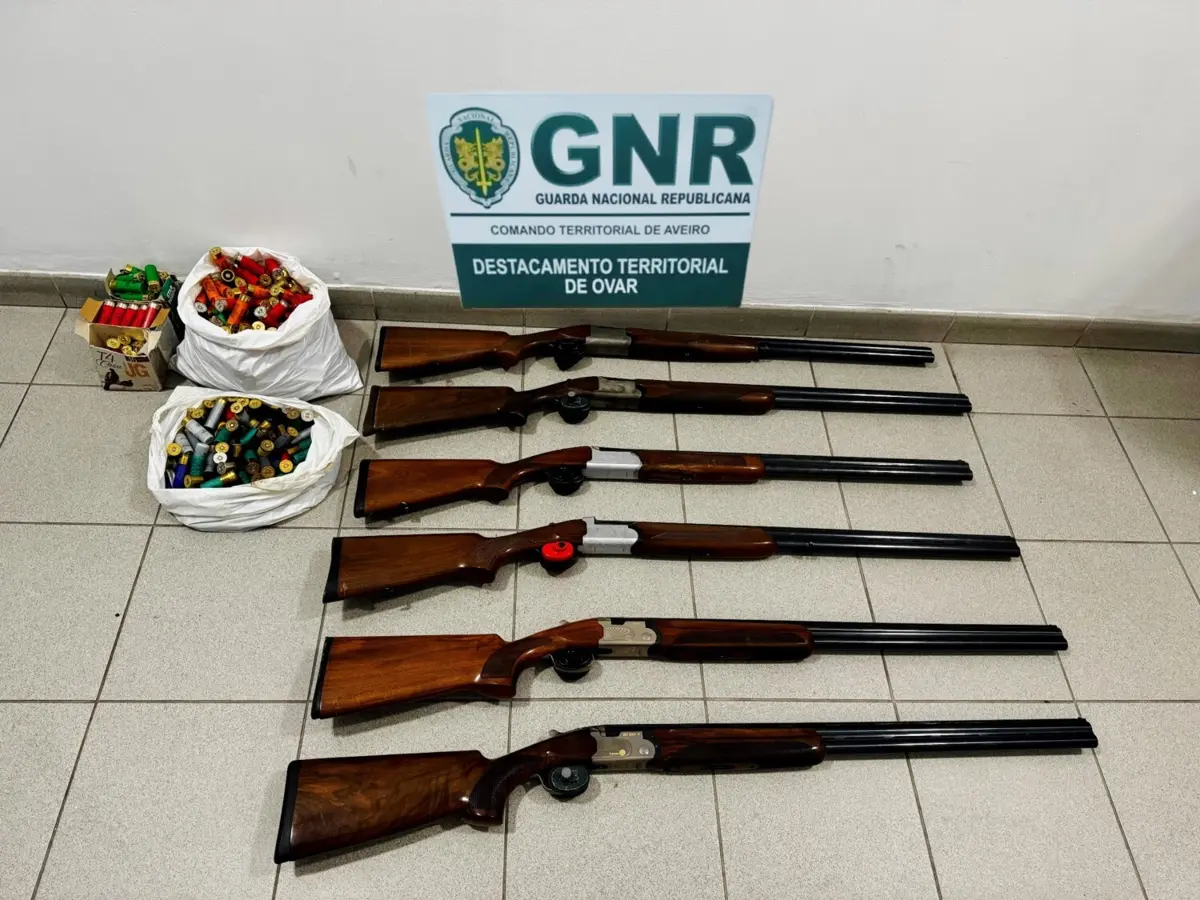 GNR apreendeu seis espingardas e mais de 400 munições