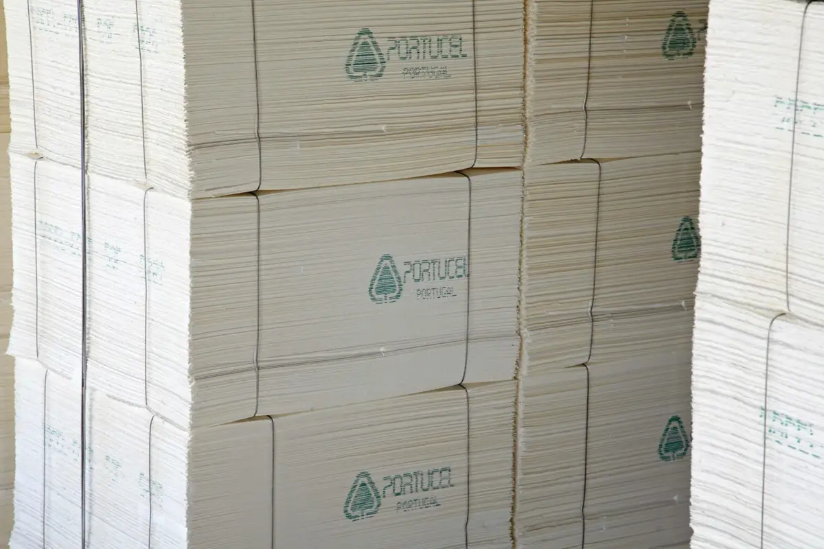 O grupo de investimento Semapa possui, entre outras empresas, a papeleira Navigator