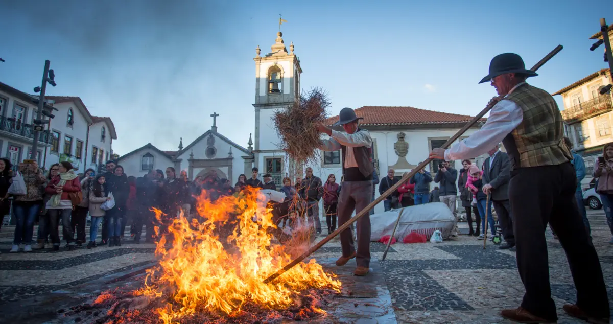 Festival da Castanha arranca nesta quinta-feira