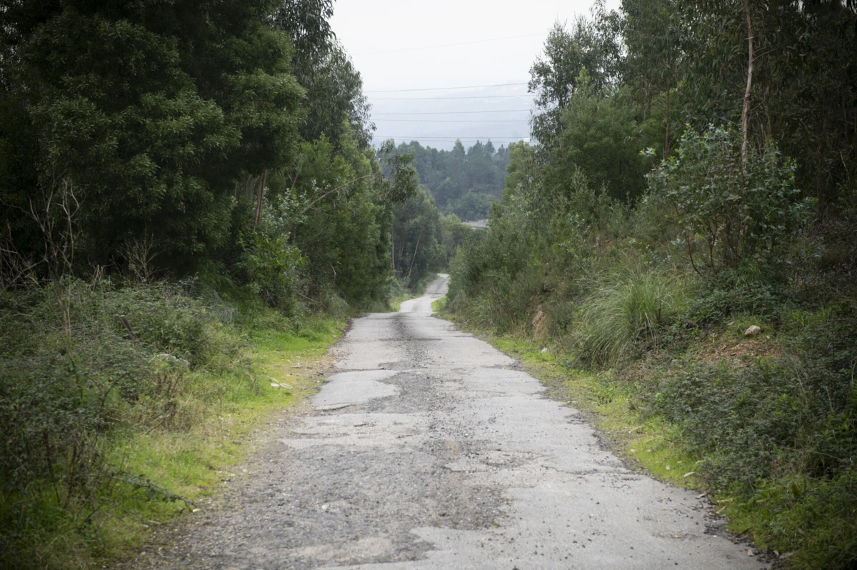 Ocorrência deu-se junto ao Santório de Montalto
