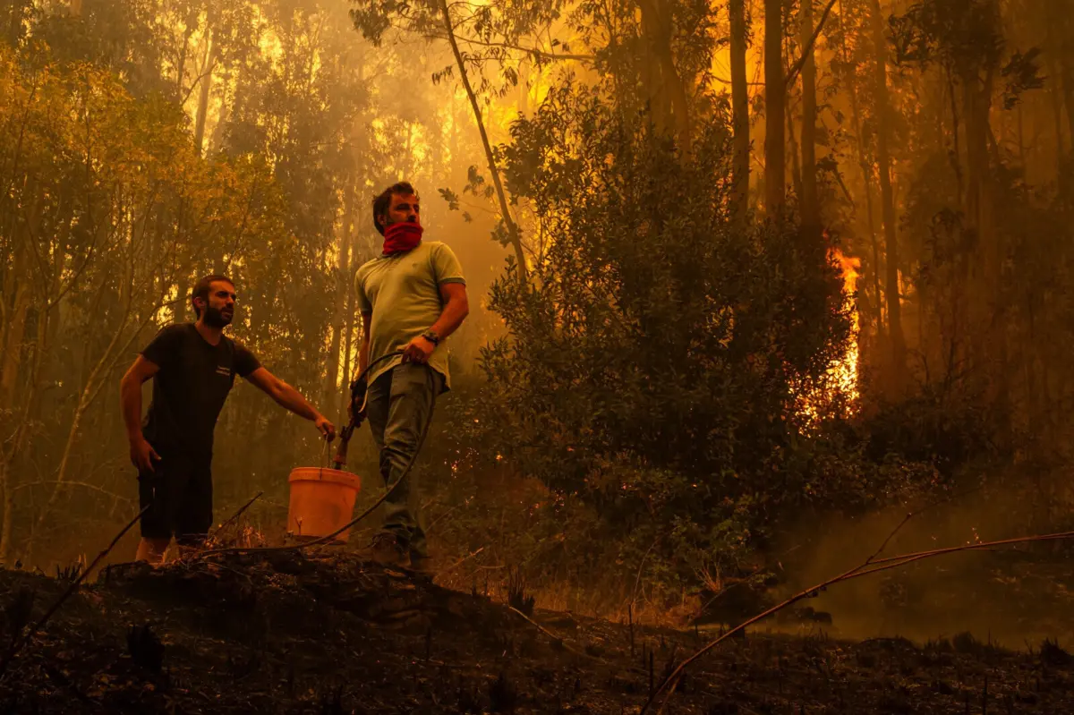 Hoje, às 13.30 horas, a Autoridade Nacional de Emergência e Proteção Civil (ANEPC) registava 127 ocorrências, envolvendo mais de 5.400 operacionais