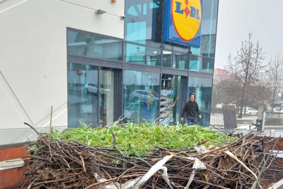 A zona da antiga fábrica deu lugar a um supermercado Lidl