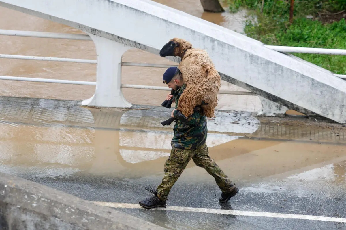 Um militar resgata uma ovelha na zona que ficou submersa pela subida da água do Rio Lis