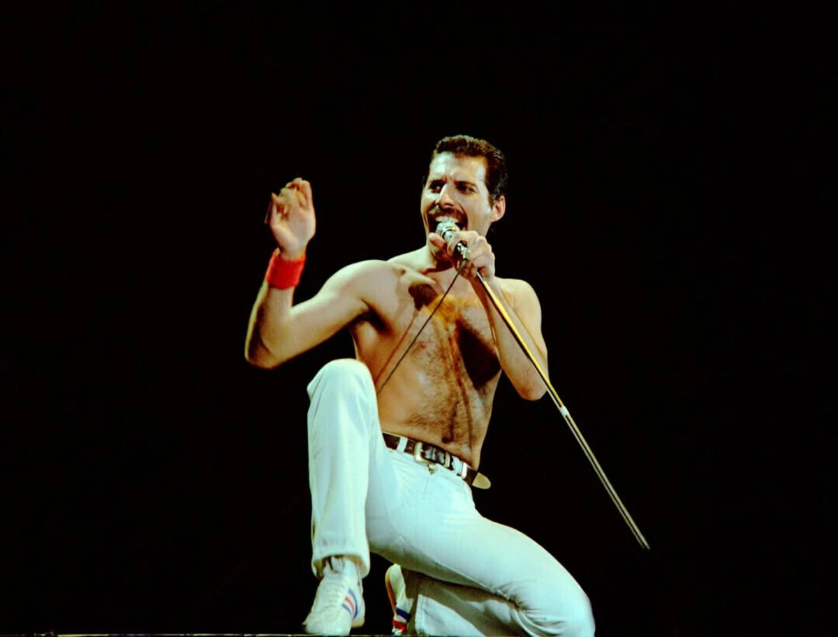 Freddie Mercury morreu em 1991, vítima de pneumonia causada pelo vírus da sida