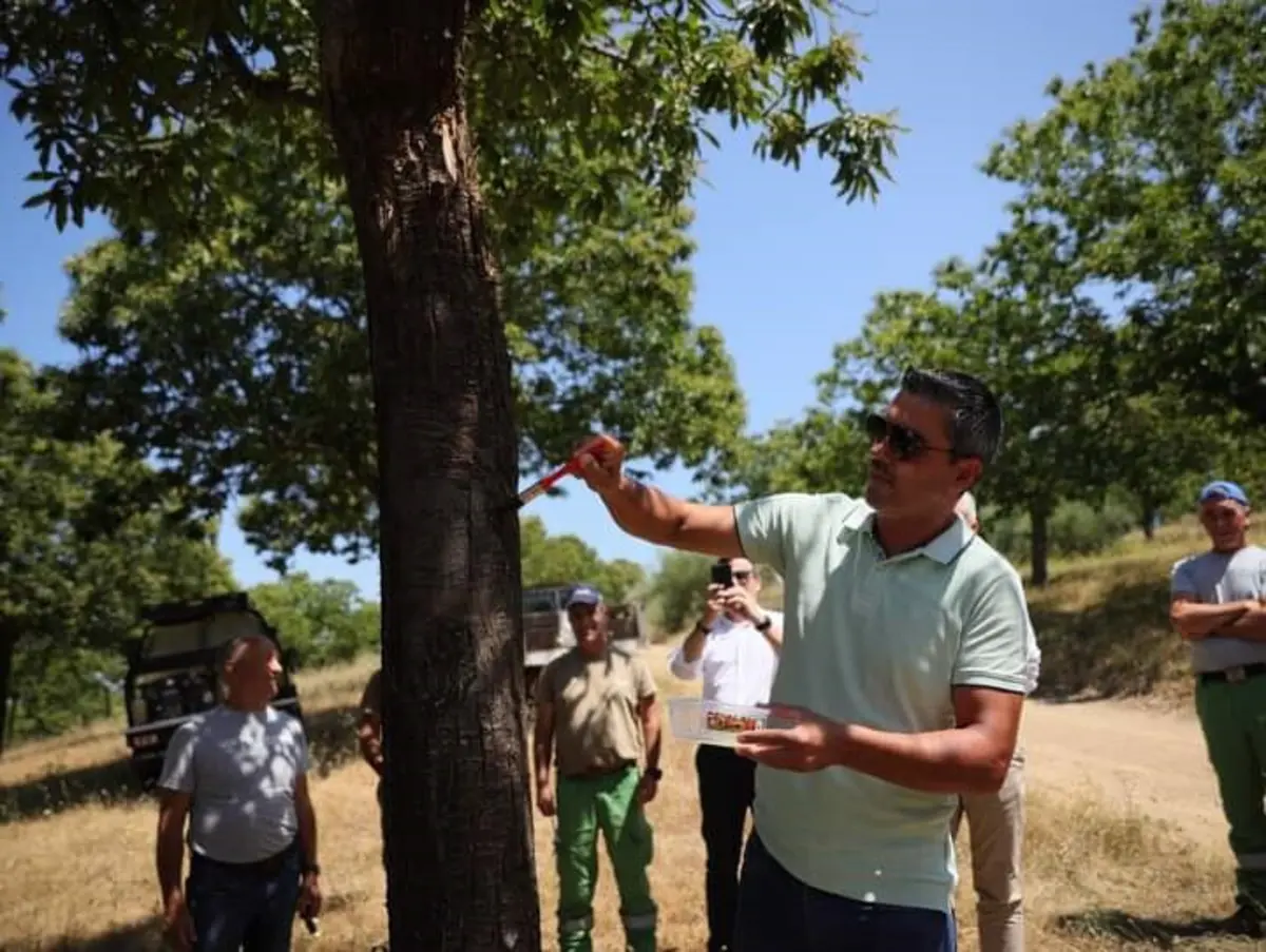 Instituto Politécnico de Bragança faz aplicação do produto