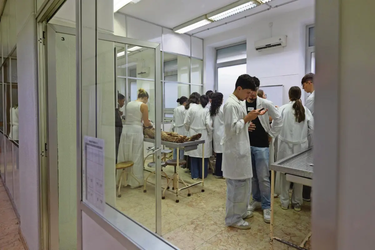 Cursos de Medicina são os mais procurados, a par das engenharias