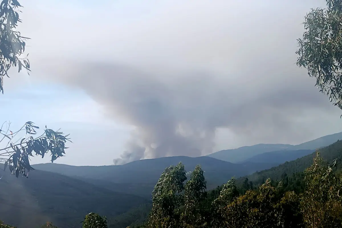 Colunas de fumo avistavam-se ao longe
