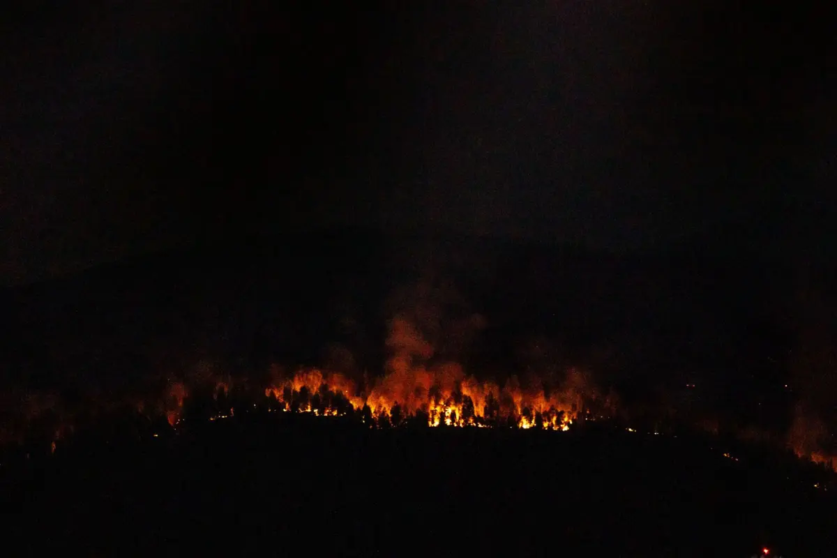 As chamas que começaram durante a tarde em São Vicente, na freguesia de Pedrógão Grande, pelas 22.40 horas mobilizavam 922 operacionais e 292 veículos
( Igor Martins )