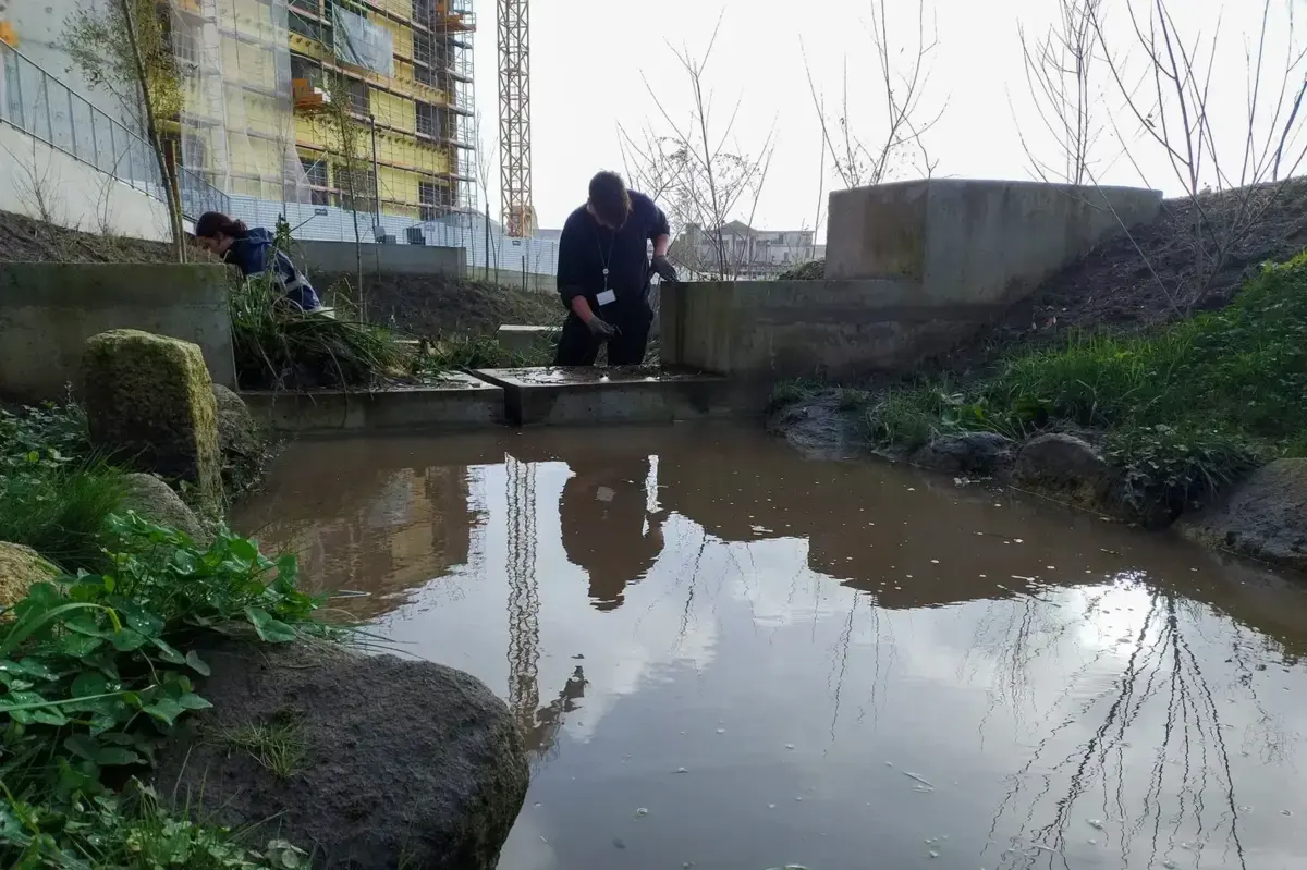 Intervenção em curso no Parque Urbano Dr. Mário Soares