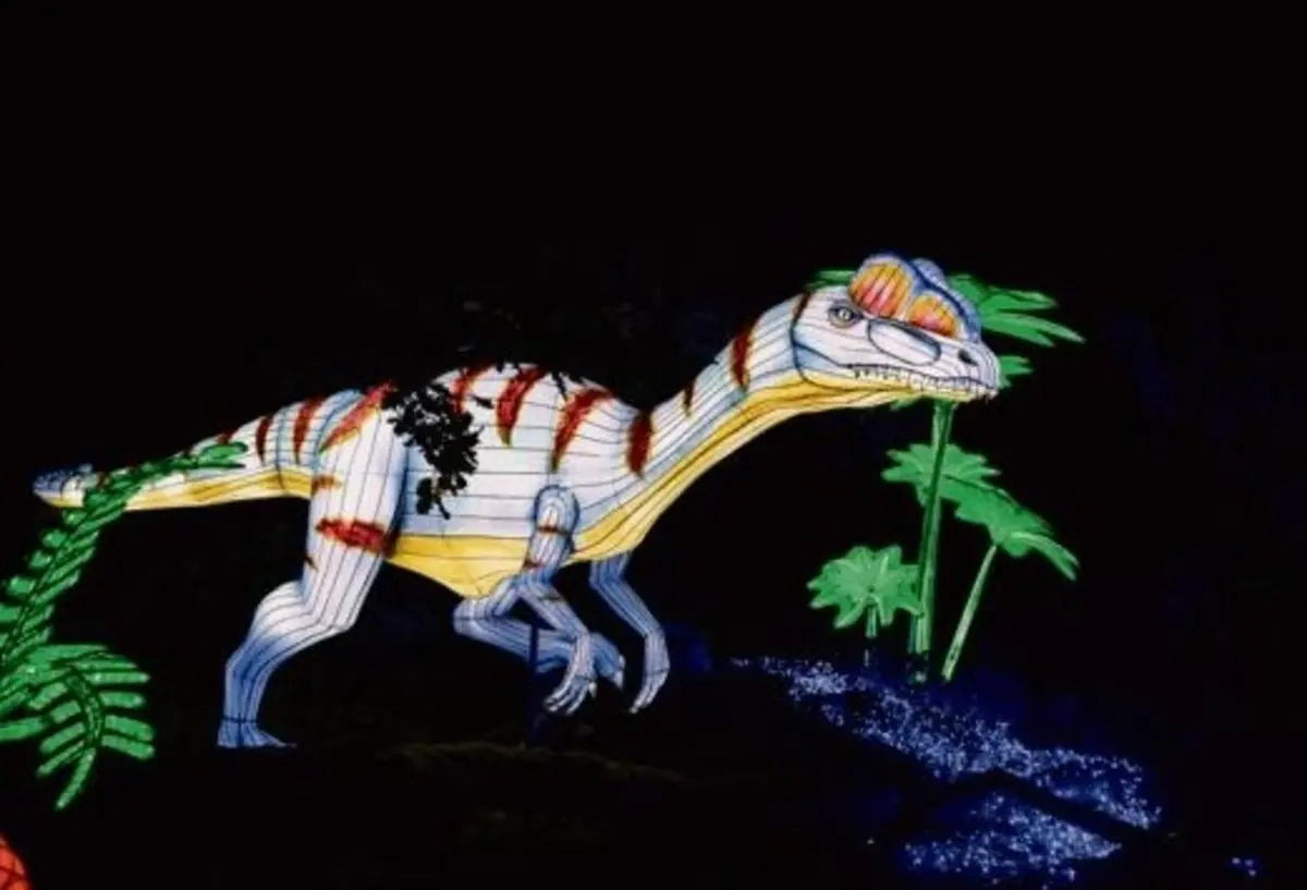 Espetáculo "Luzes selvagens" no Zoo de Santo Inácio, em Vila Nova de Gaia