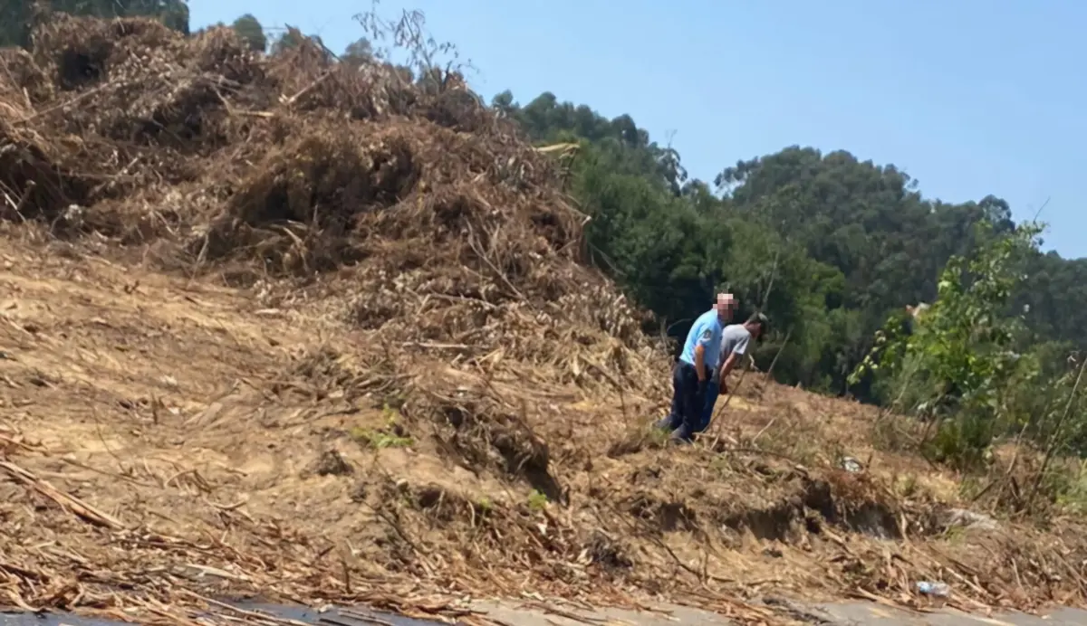GNR detetou presença de incendiário em zona onde deflagrou um incêndio