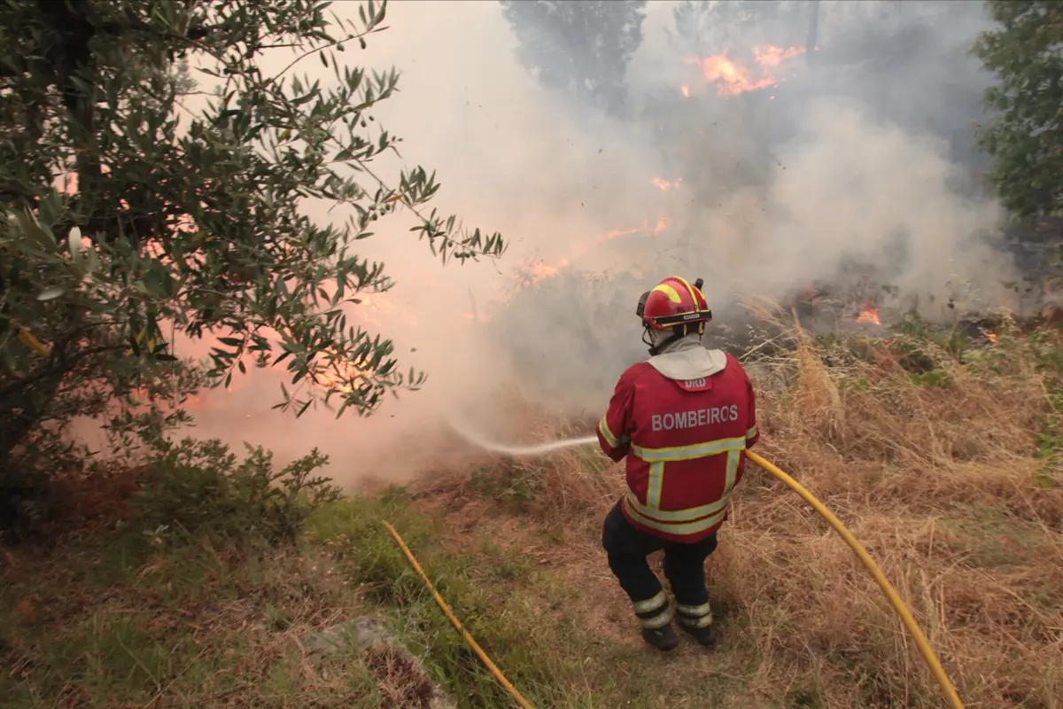 Fogo atingiu gransdes porporções