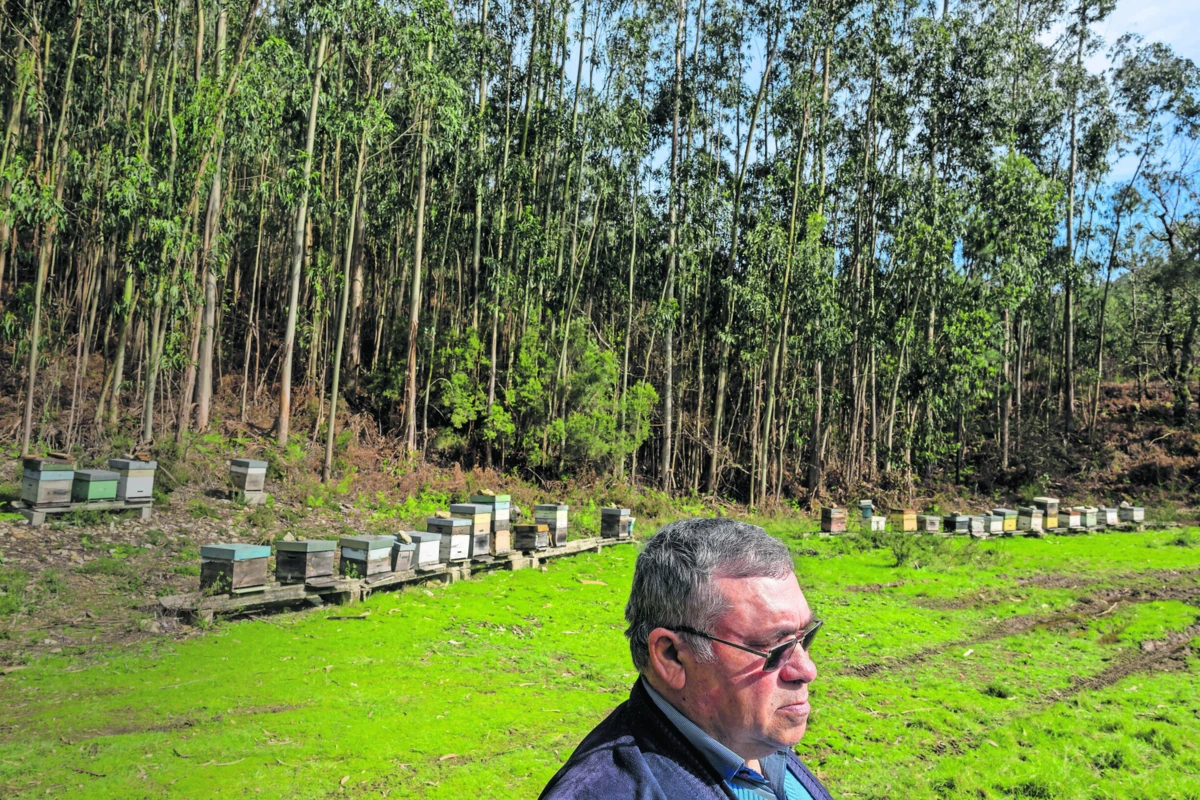 Rogério Moura está desolado