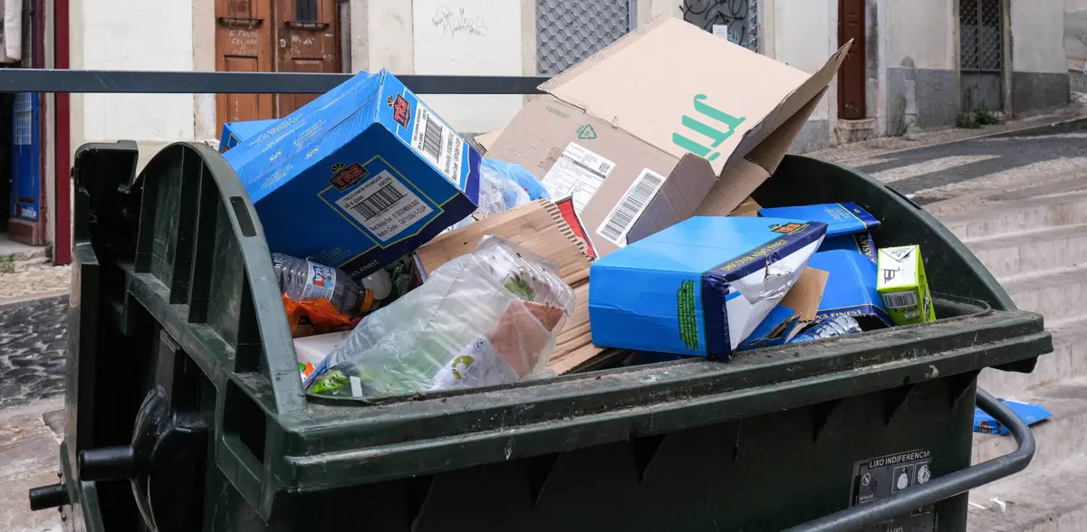 Manuel Moreira considera que o serviço de recolha de lixo é um “cancro”