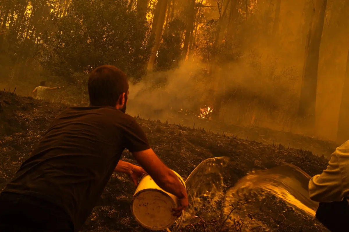 Duas pessoas morreram no incêndio em Albergaria-a-Velha