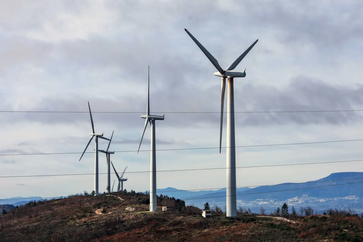 Imagem de contexto do artigo Ambientalistas identificam problemas na exploração de energia renovável