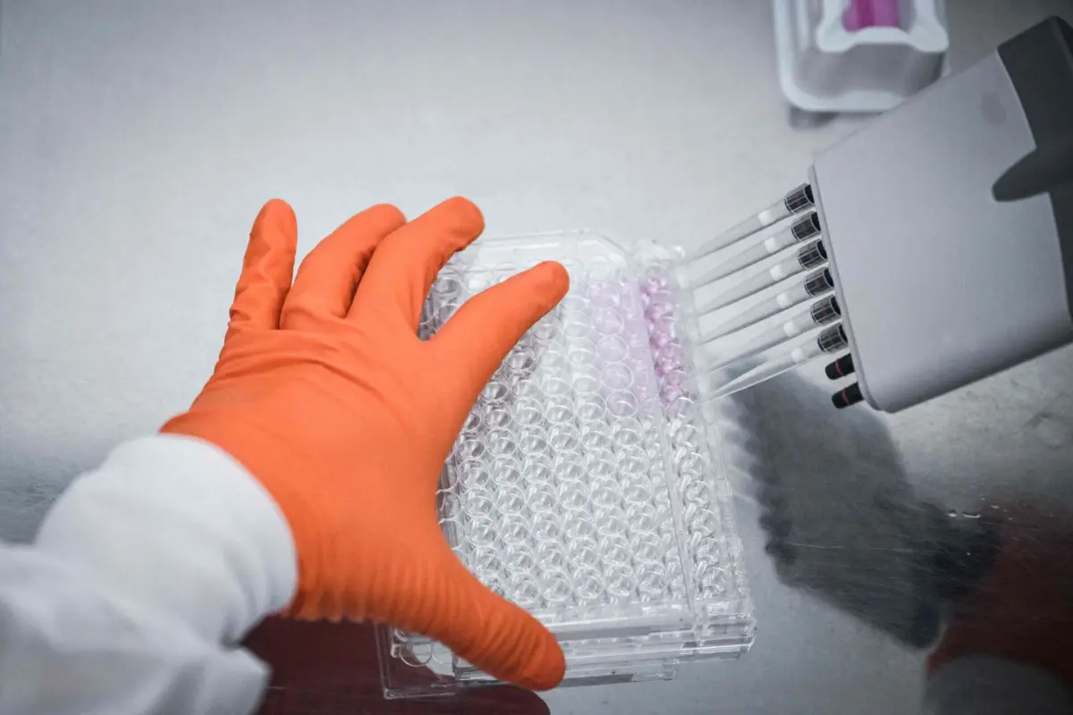 A resistência stá a agravar-se em locais onde os sistemas de saúde não têm capacidade para diagnosticar ou tratar agentes patogénicos bacterianos