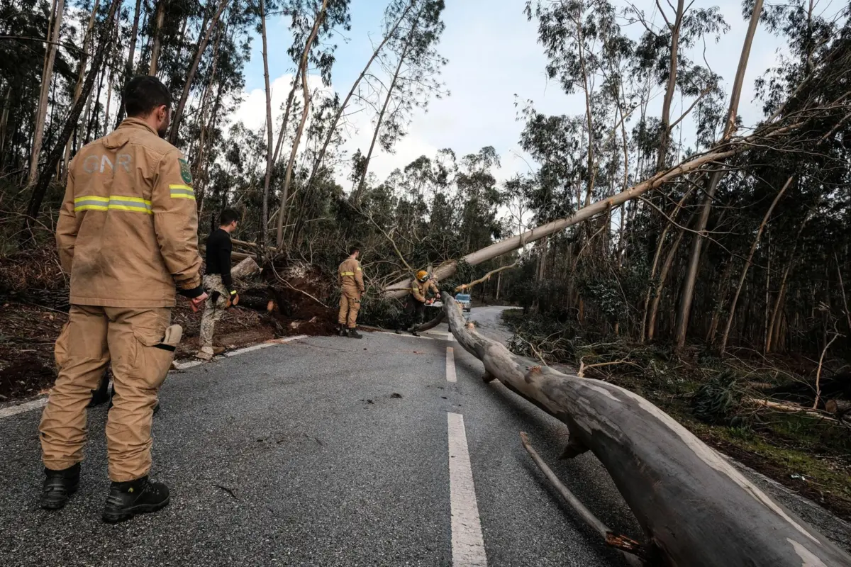 As tempestades consecutivas que assolaram Portugal deixaram estragos por todo o país