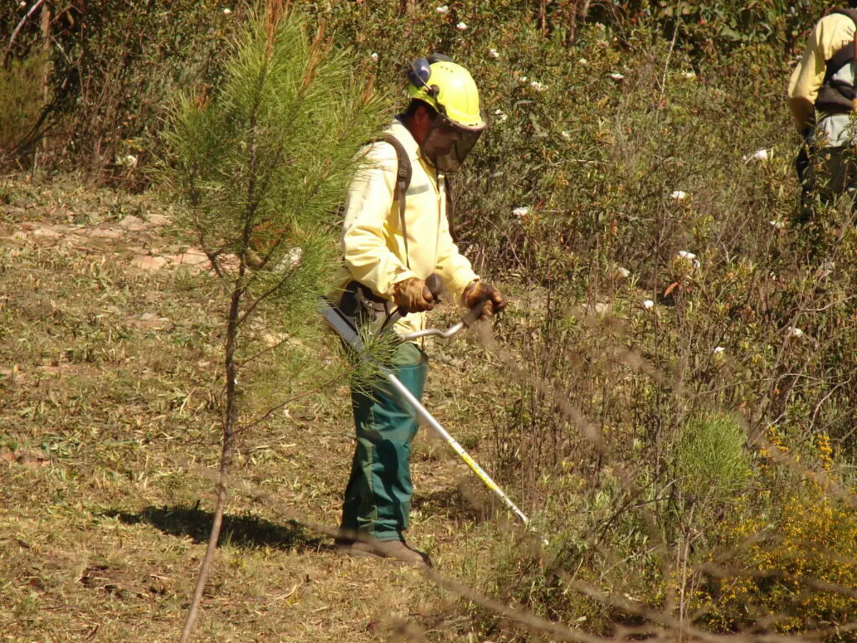 Terá sido vítima de abusos sexuais por colegas e até um superior hierárquico