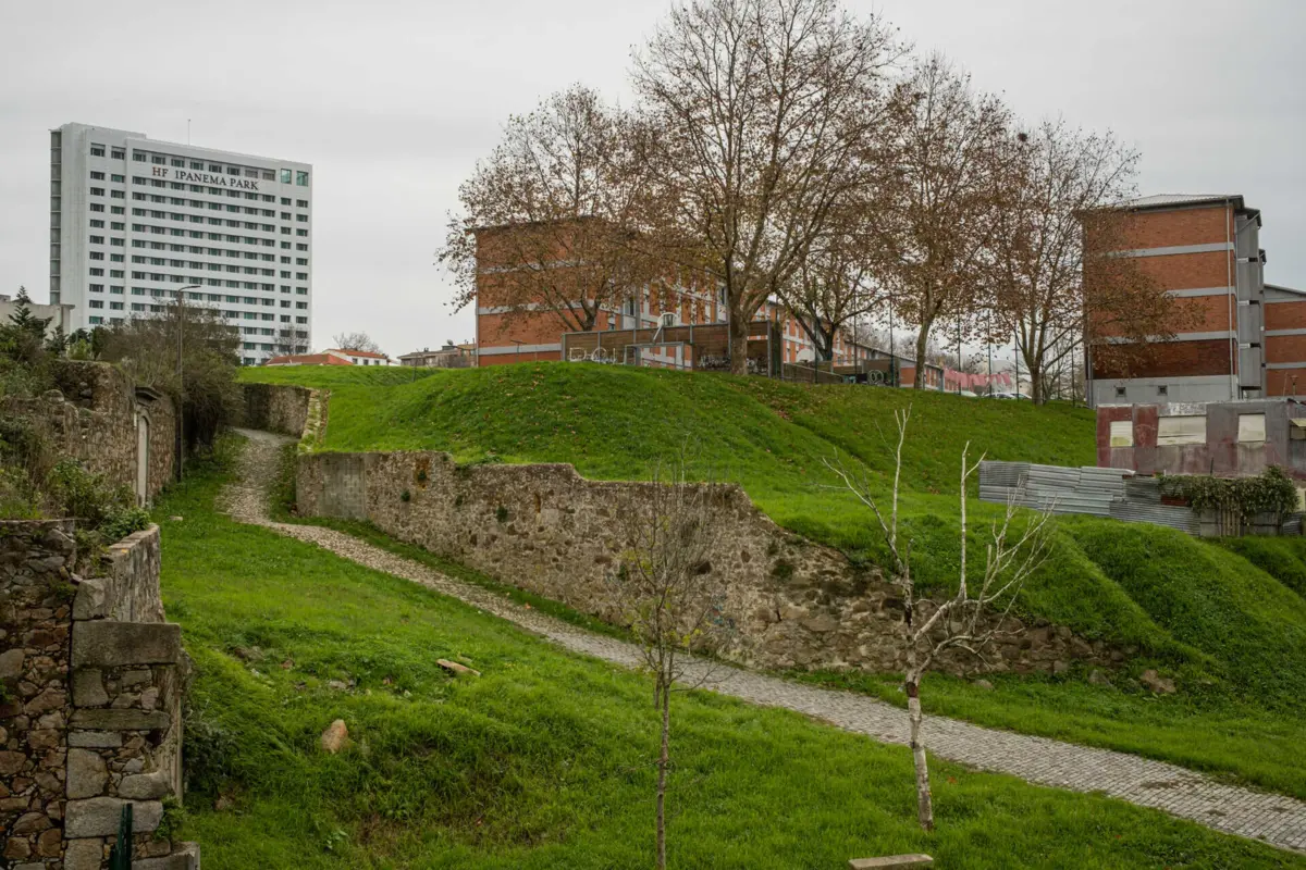 Terrenos livres entre os bairros de Pinheiro Torres e Lordelo, no Porto