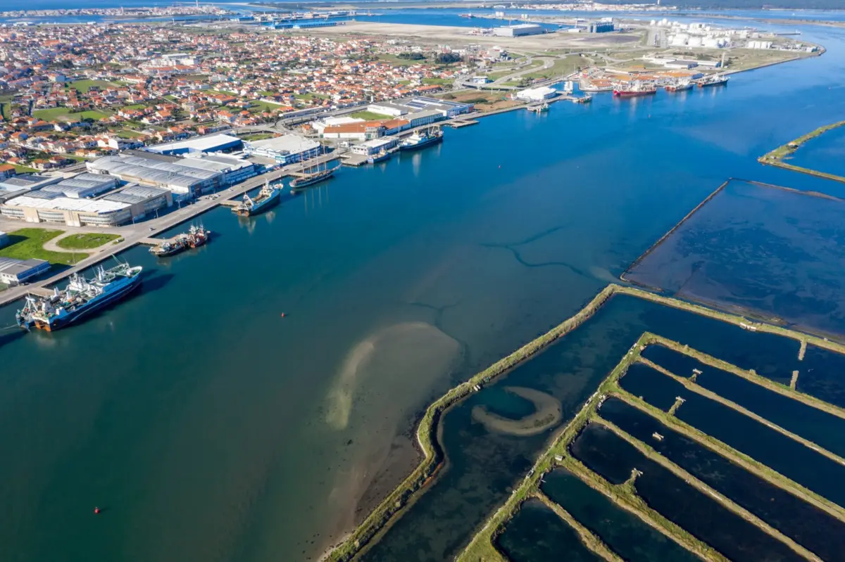 Avenida dos Bacalhoeiros