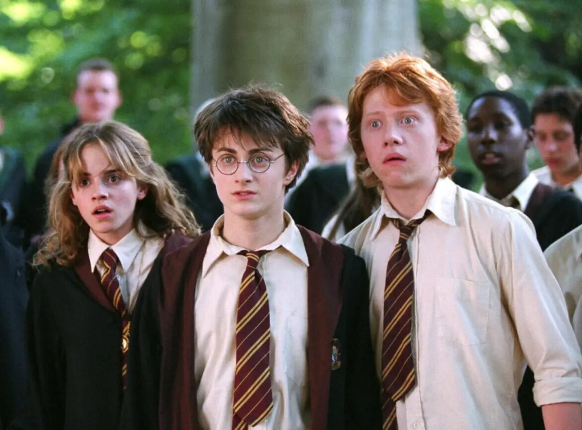 Hermione Granger, Harry Potter e Ron Weasley